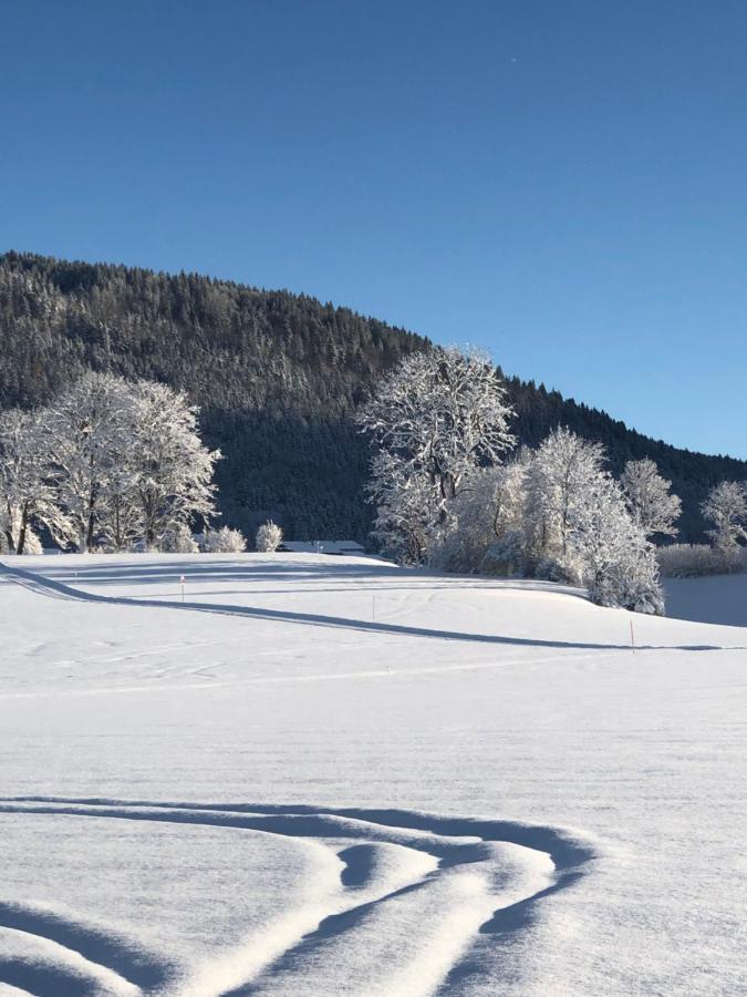 Lindenhof Inzell - Fewo Mit Chiemgaukarte Extérieur photo